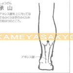 足の筋肉痛のツボ-3