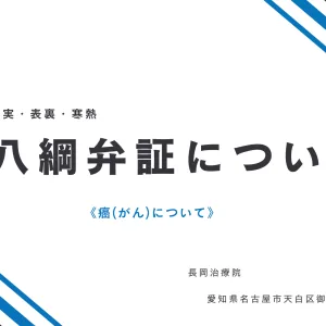 八綱弁証についてbanner
